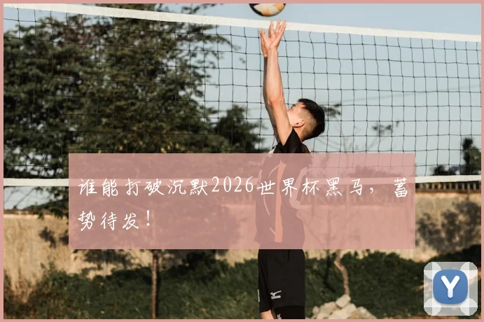 谁能打破沉默2026世界杯黑马，蓄势待发！