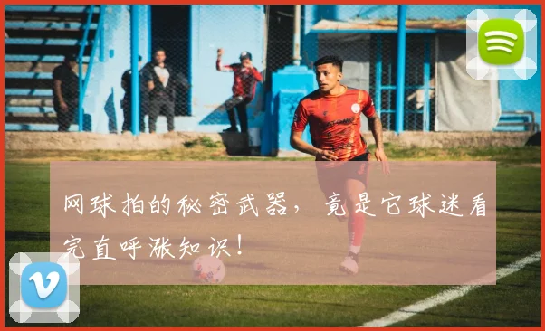 网球拍的秘密武器，竟是它球迷看完直呼涨知识！