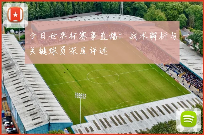 今日世界杯赛事直播：战术解析与关键球员深度评述